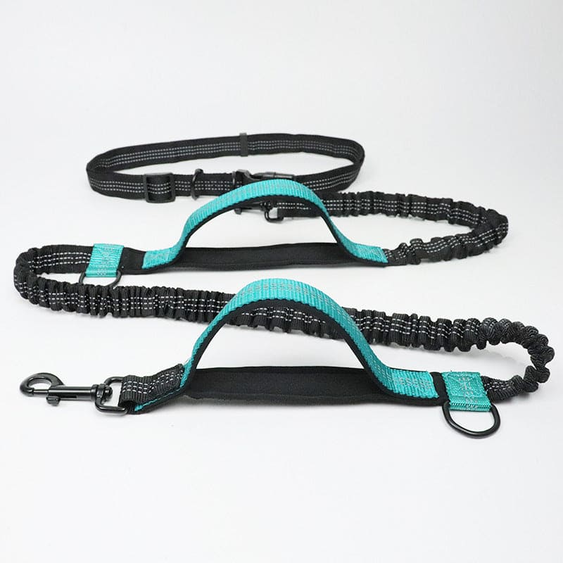 Elastische Hundeleine