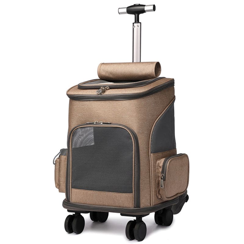 Reise Rucksack