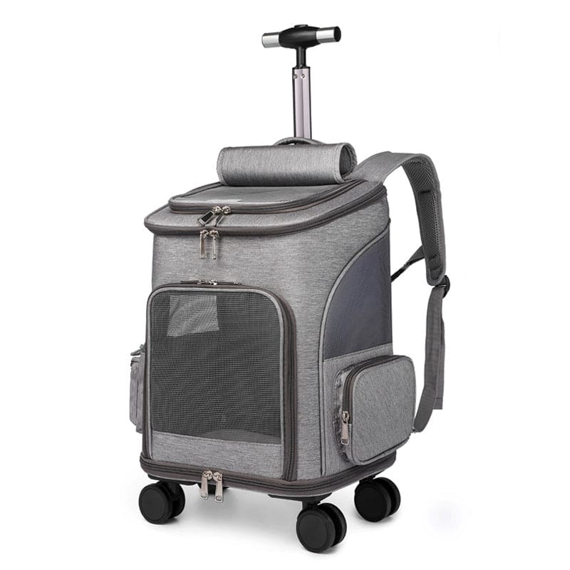 Reise Rucksack