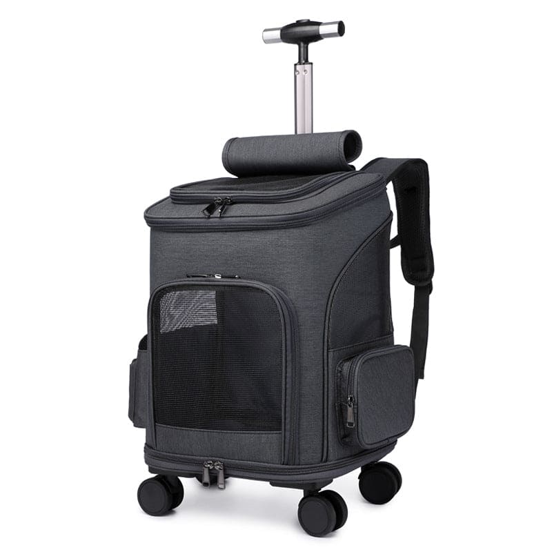 Reise Rucksack