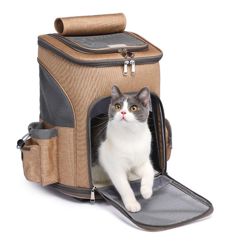 Reise Rucksack
