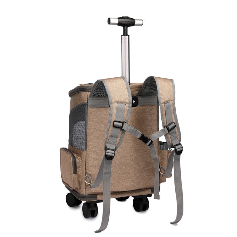 Reise Rucksack