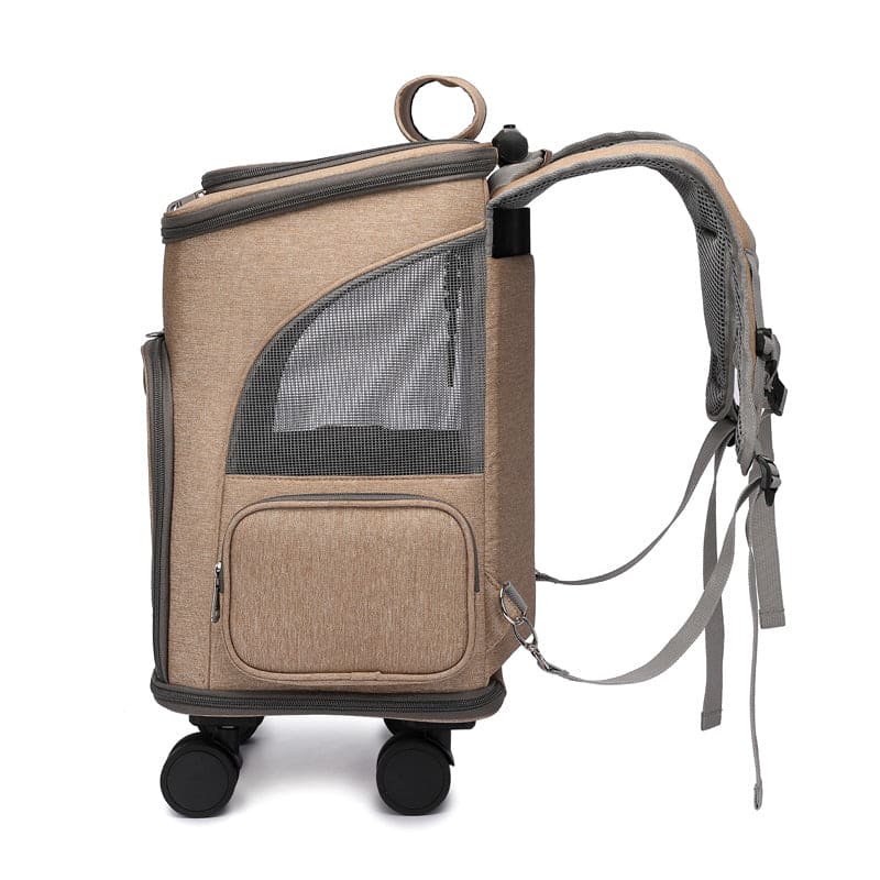 Reise Rucksack