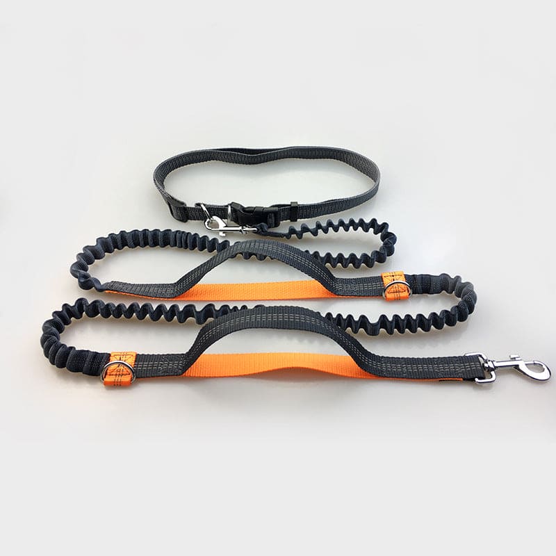 Elastische Hundeleine
