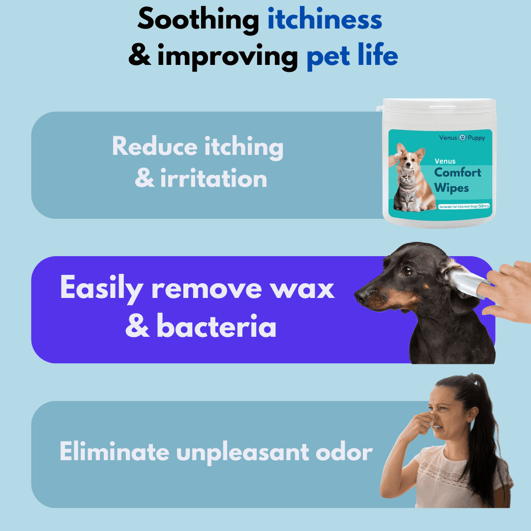 Venus - Comfort Wipes