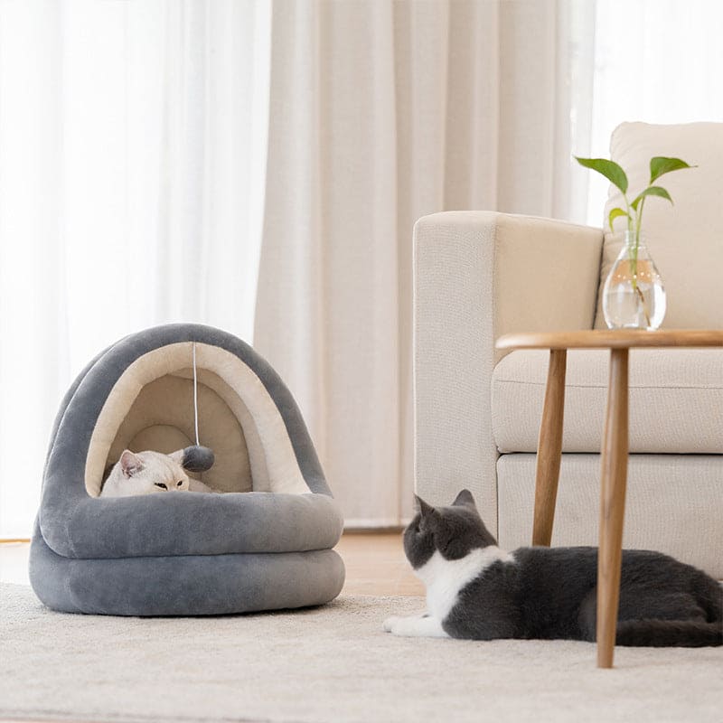 Katzen Nest