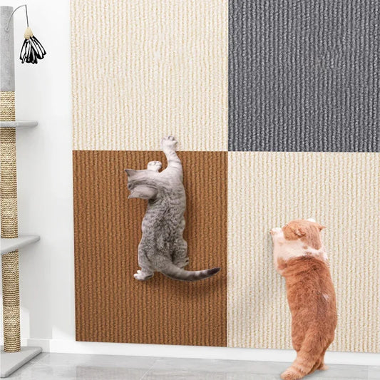 Scratch Shield