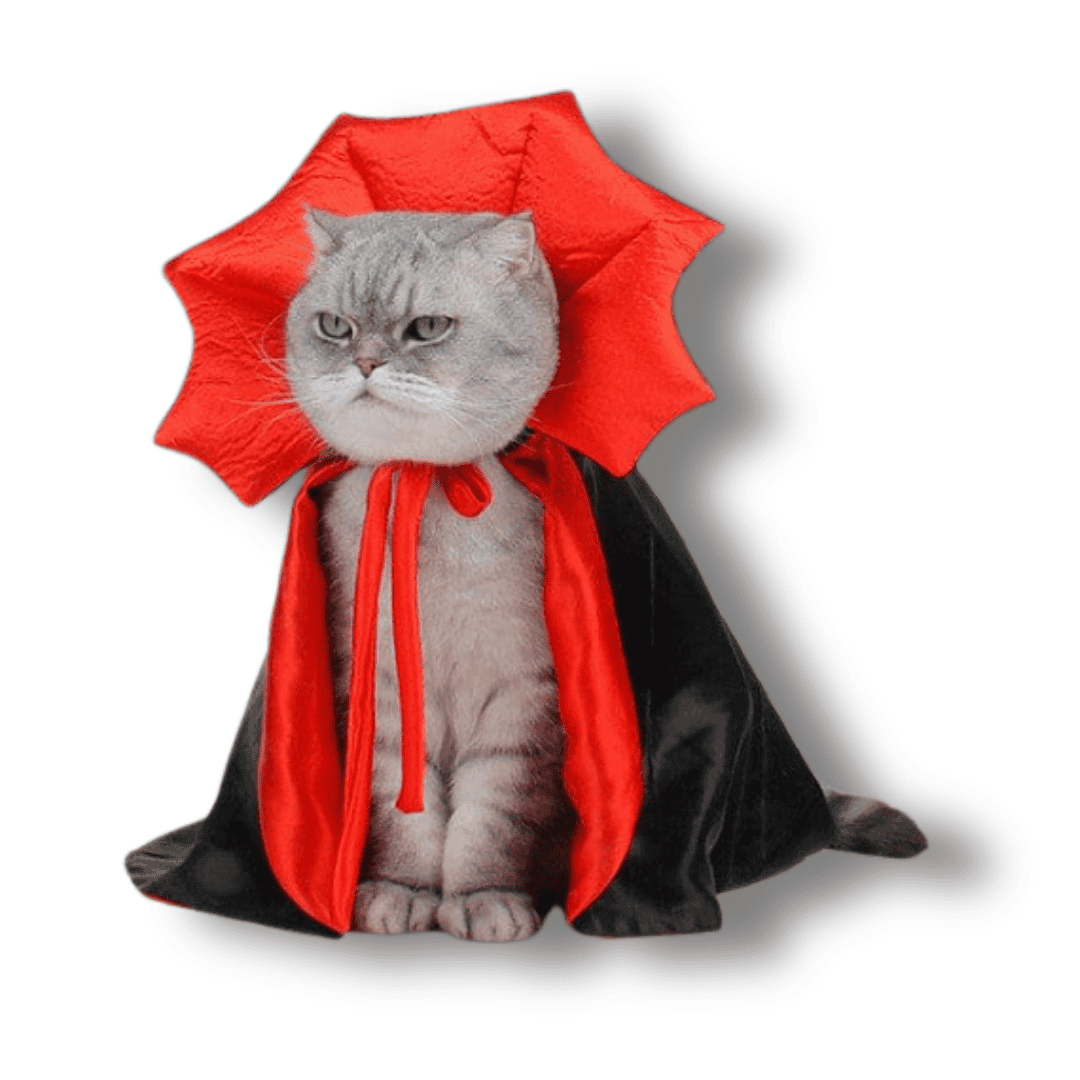 Dracula Costume